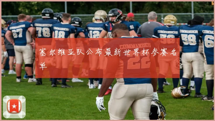 塞尔维亚队公布最新世界杯参赛名单