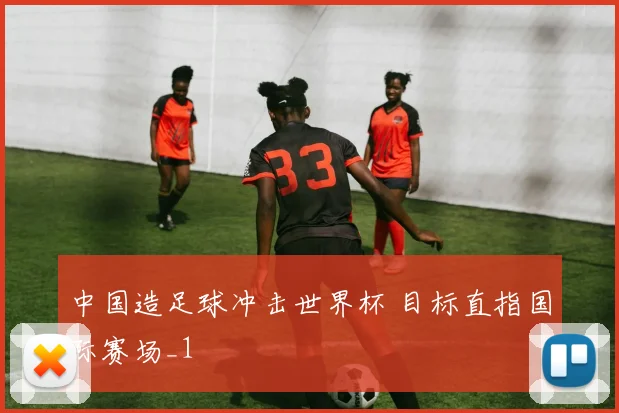 中国造足球冲击世界杯 目标直指国际赛场_1
