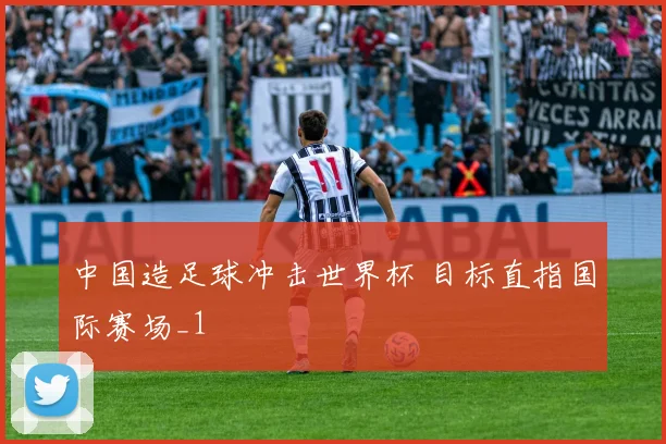 中国造足球冲击世界杯 目标直指国际赛场_1