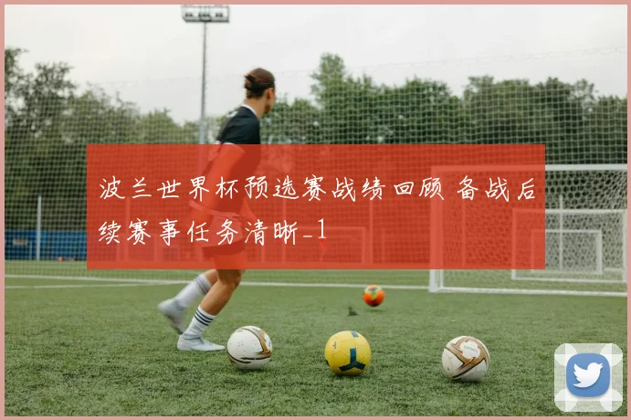 波兰世界杯预选赛战绩回顾 备战后续赛事任务清晰_1