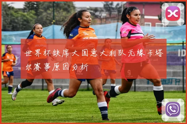 世界杯缺席大国意大利队无缘卡塔尔赛事原因分析