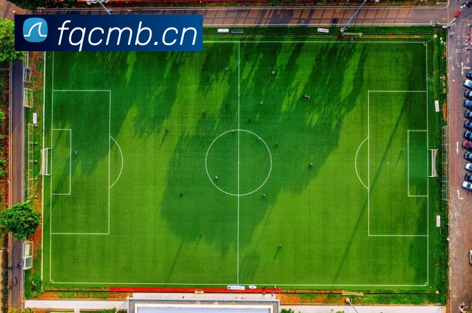 求一个能用的bsports网址发展历程