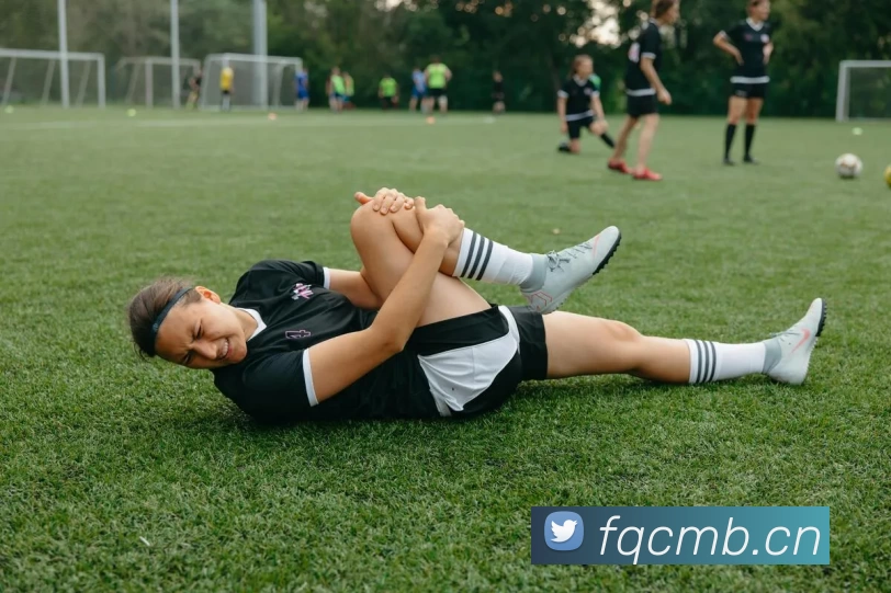 多媒体互动体验